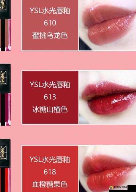 ysl 蜜桃棕调色视频：演绎温柔气质的秘密